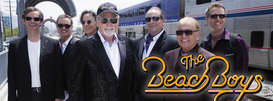 Image result for the beach boys 2017